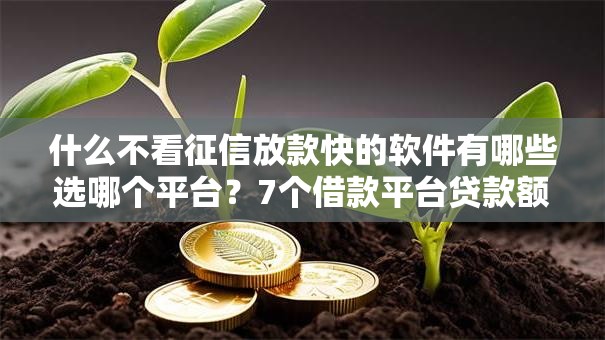 什么不看征信放款快的软件有哪些选哪个平台？7个借款平台贷款额度高推荐
