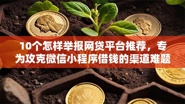 10个怎样举报网贷平台推荐，专为攻克微信小程序借钱的渠道难题