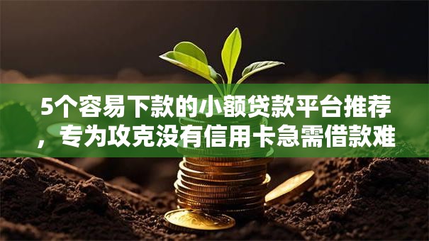 5个容易下款的小额贷款平台推荐，专为攻克没有信用卡急需借款难题
