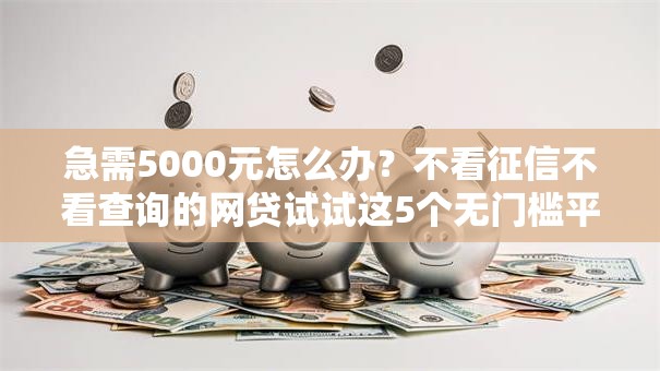 急需5000元怎么办？不看征信不看查询的网贷试试这5个无门槛平台