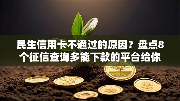 民生信用卡不通过的原因？盘点8个征信查询多能下款的平台给你参考