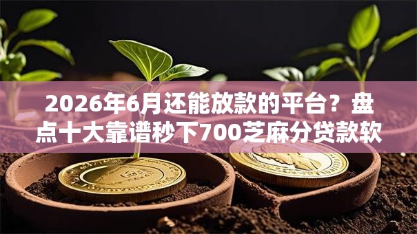 2026年6月还能放款的平台？盘点十大靠谱秒下700芝麻分贷款软件