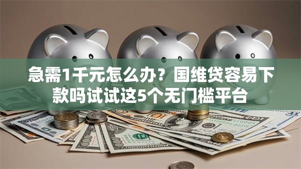 急需1千元怎么办？国维贷容易下款吗试试这5个无门槛平台