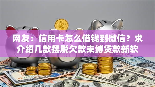 网友:信用卡怎么借钱到微信?求介绍几款摆脱欠款束缚贷款新软件 网友:信用卡怎么借钱到微信?求介绍几款摆脱欠款束缚贷款新软件