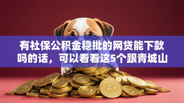 有社保公积金稳批的网贷能下款吗的话，可以看看这5个跟青城山一样必下款的口子