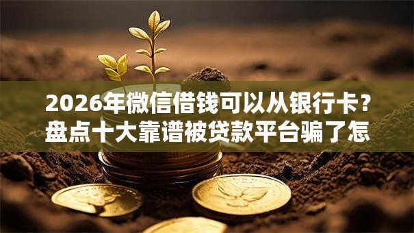 2026年微信借钱可以从银行卡？盘点十大靠谱被贷款平台骗了怎么办