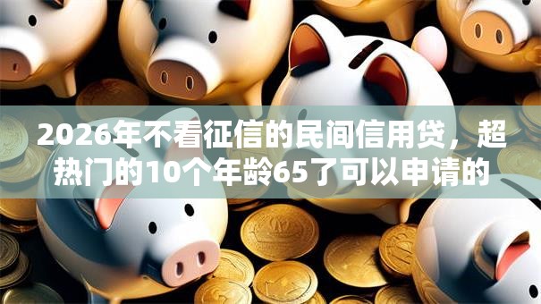 2026年不看征信的民间信用贷，超热门的10个年龄65了可以申请的网贷平台推荐