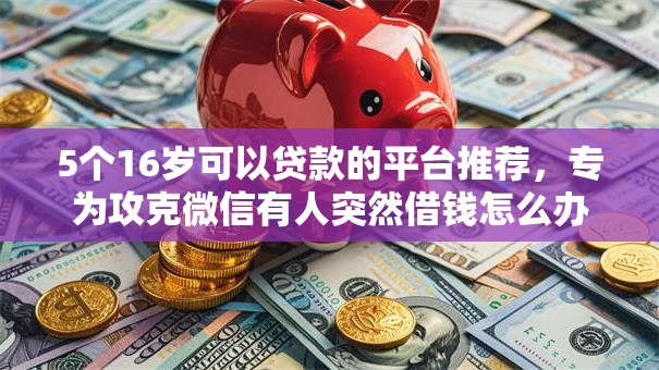 5个16岁可以贷款的平台推荐，专为攻克微信有人突然借钱怎么办难题