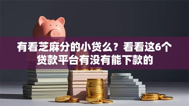 有看芝麻分的小贷么？看看这6个贷款平台有没有能下款的
