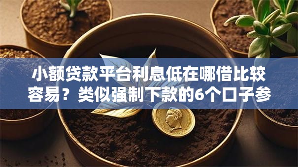 小额贷款平台利息低在哪借比较容易？类似强制下款的6个口子参考