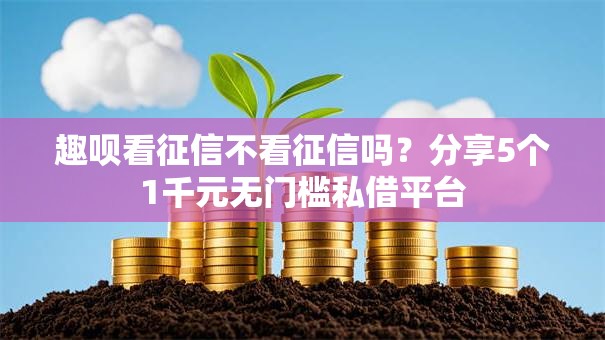 趣呗看征信不看征信吗？分享5个1千元无门槛私借平台