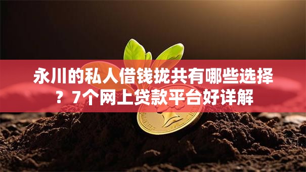 永川的私人借钱拢共有哪些选择？7个网上贷款平台好详解