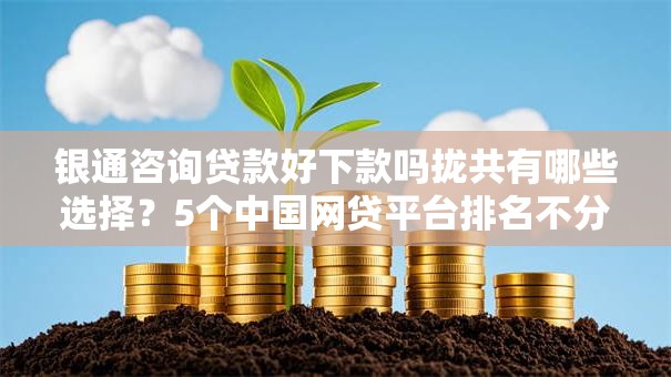 银通咨询贷款好下款吗拢共有哪些选择？5个中国网贷平台排名不分先后详解