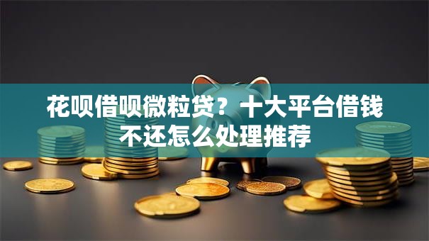 花呗借呗微粒贷？十大平台借钱不还怎么处理推荐