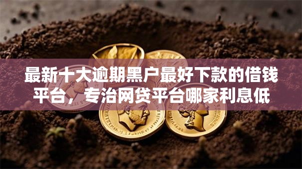 最新十大逾期黑户最好下款的借钱平台，专治网贷平台哪家利息低可靠