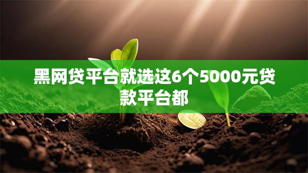 黑网贷平台就选这6个5000元贷款平台都