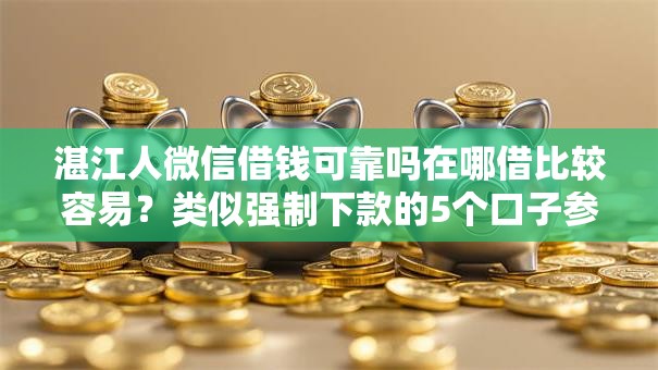 湛江人微信借钱可靠吗在哪借比较容易？类似强制下款的5个口子参考