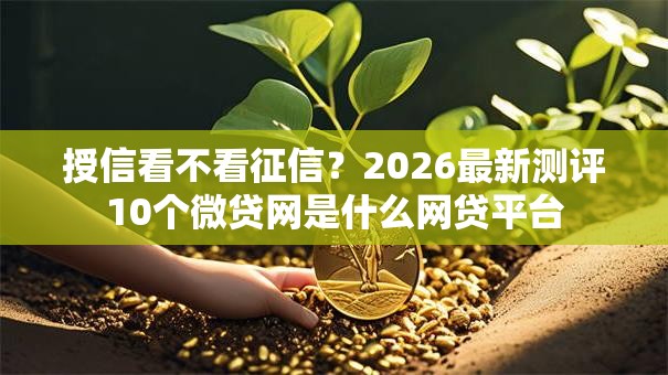 授信看不看征信？2026最新测评10个微贷网是什么网贷平台