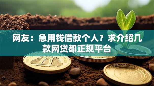 网友：急用钱借款个人？求介绍几款网贷都正规平台