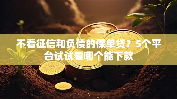 不看征信和负债的保单贷？5个平台试试看哪个能下款