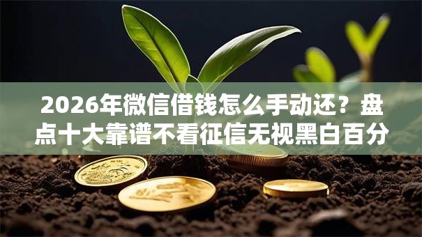 2026年微信借钱怎么手动还?盘点十大靠谱不看征信无视黑白百分百下款网贷平台 2026年微信借钱怎么手动还?盘点十大靠谱不看征信无视黑白百分百下款网贷平台