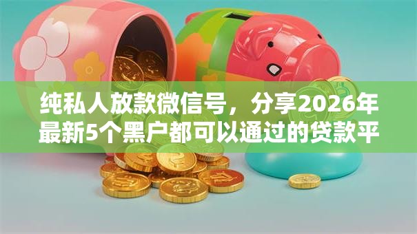 纯私人放款微信号，分享2026年最新5个黑户都可以通过的贷款平台