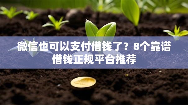 微信也可以支付借钱了？8个靠谱借钱正规平台推荐