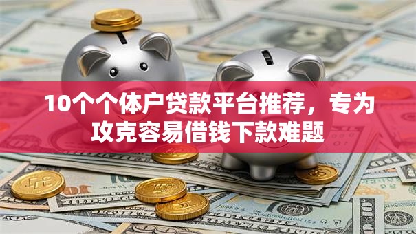 10个个体户贷款平台推荐，专为攻克容易借钱下款难题