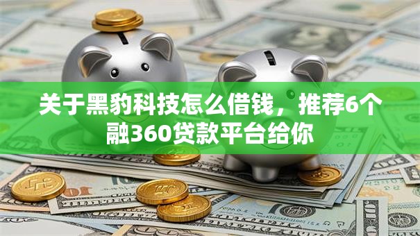 关于黑豹科技怎么借钱，推荐6个融360贷款平台给你