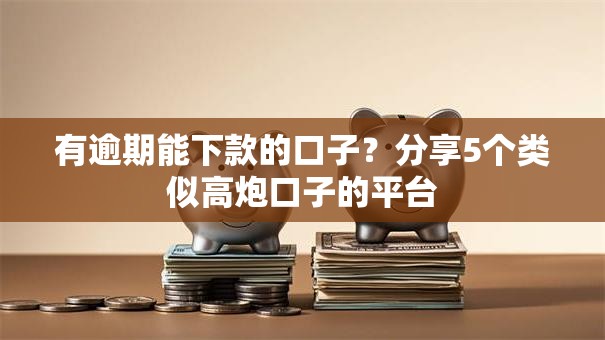 有逾期能下款的口子？分享5个类似高炮口子的平台