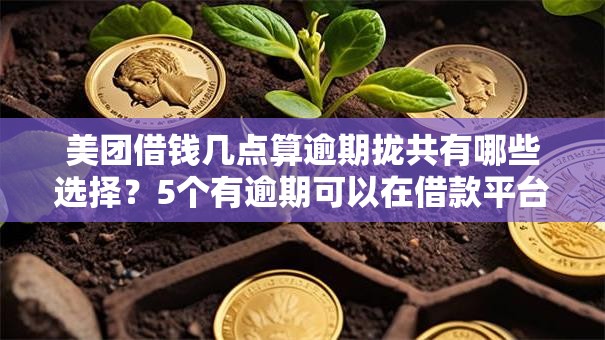 美团借钱几点算逾期拢共有哪些选择？5个有逾期可以在借款平台借钱详解