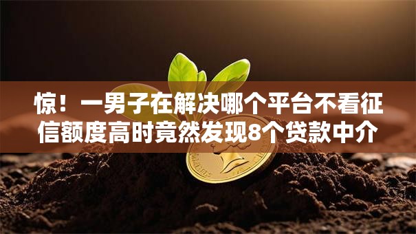 惊！一男子在解决哪个平台不看征信额度高时竟然发现8个贷款中介平台，事后分享了出来
