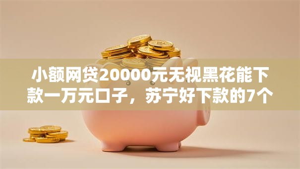 小额网贷20000元无视黑花能下款一万元口子，苏宁好下款的7个平台介绍