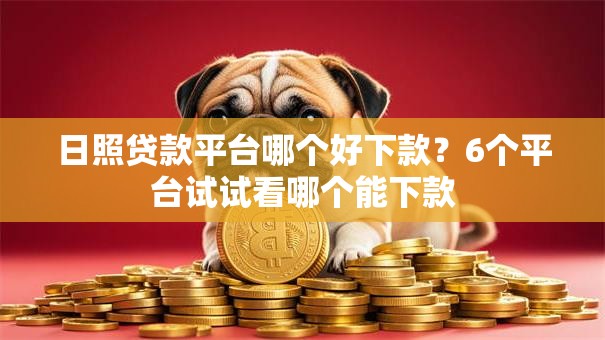 日照贷款平台哪个好下款？6个平台试试看哪个能下款