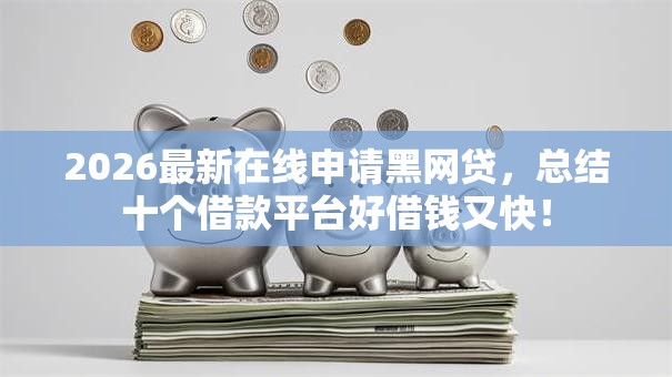 2026最新在线申请黑网贷，总结十个借款平台好借钱又快！