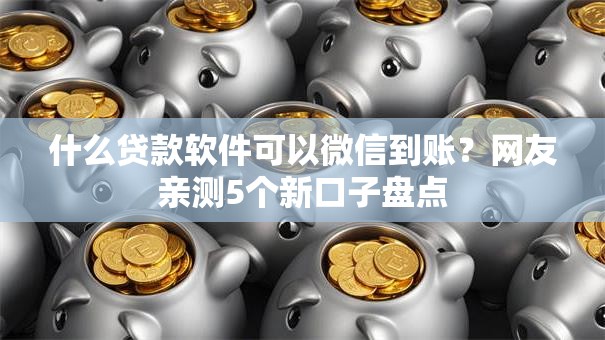 什么贷款软件可以微信到账？网友亲测5个新口子盘点
