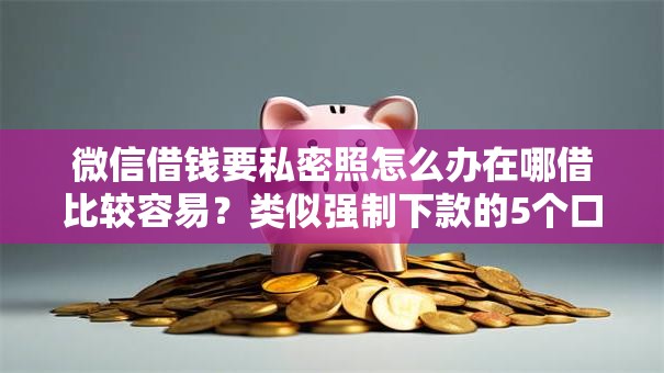 微信借钱要私密照怎么办在哪借比较容易？类似强制下款的5个口子参考