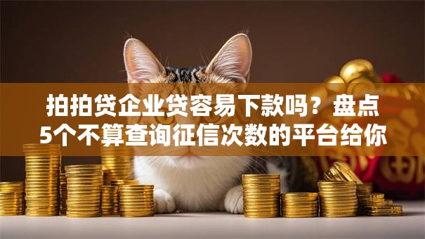拍拍贷企业贷容易下款吗？盘点5个不算查询征信次数的平台给你参考
