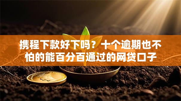 携程下款好下吗？十个逾期也不怕的能百分百通过的网贷口子