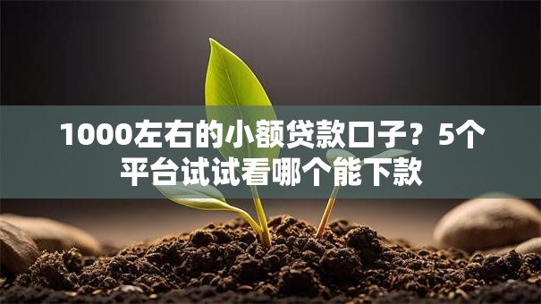 1000左右的小额贷款口子？5个平台试试看哪个能下款