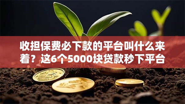 收担保费必下款的平台叫什么来着？这6个5000块贷款秒下平台可以试试