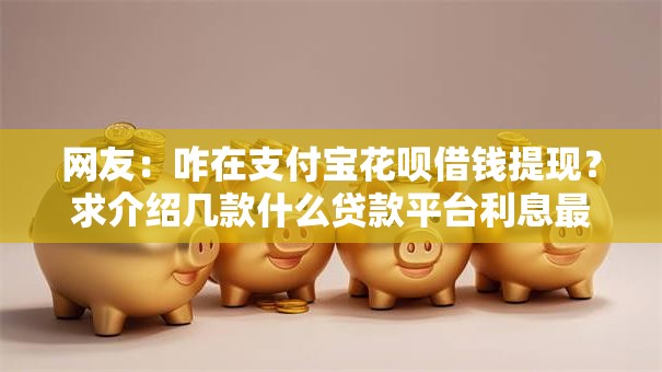 网友：咋在支付宝花呗借钱提现？求介绍几款什么贷款平台利息最低
