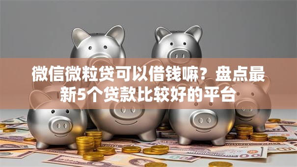 微信微粒贷可以借钱嘛？盘点最新5个贷款比较好的平台