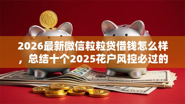 2026最新微信粒粒贷借钱怎么样，总结十个2025花户风控必过的口子论坛！