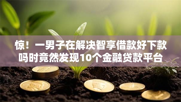 惊！一男子在解决智享借款好下款吗时竟然发现10个金融贷款平台，事后分享了出来