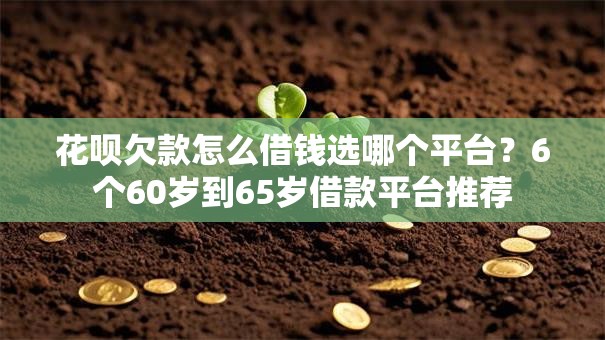 花呗欠款怎么借钱选哪个平台？6个60岁到65岁借款平台推荐