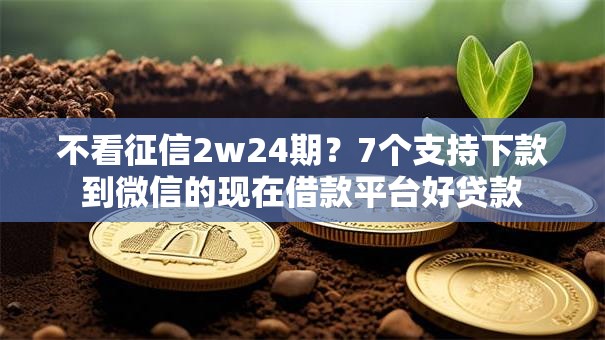 不看征信2w24期?7个支持下款到微信的现在借款平台好贷款 不看征信2w24期?7个支持下款到微信的现在借款平台好贷款