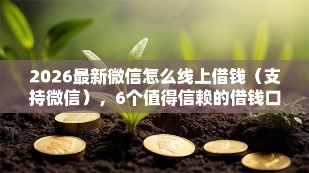 2026最新微信怎么线上借钱(支持微信),6个值得信赖的借钱口子无私分享 2026最新微信怎么线上借钱(支持微信),6个值得信赖的借钱口子无私分享