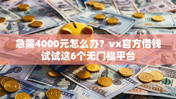 急需4000元怎么办？vx官方借钱试试这6个无门槛平台
