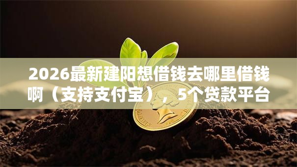 2026最新建阳想借钱去哪里借钱啊（支持支付宝），5个贷款平台网无私分享